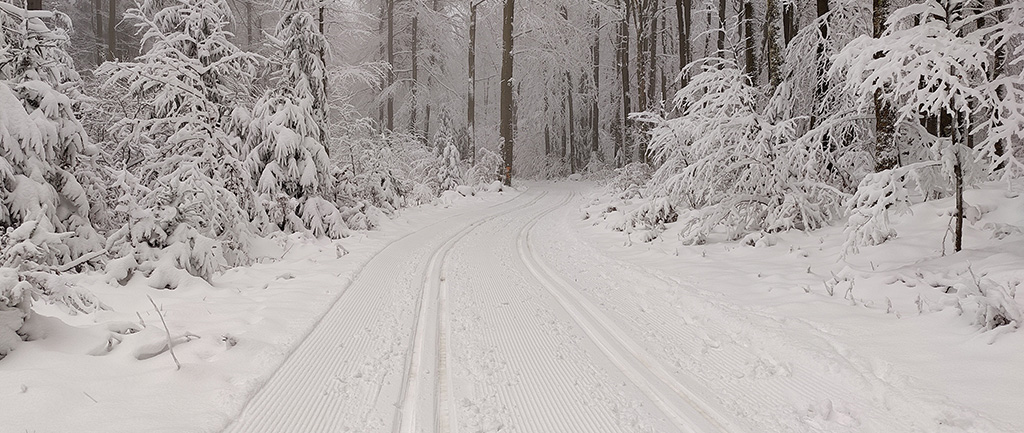Willkommen bei VulkanWetter